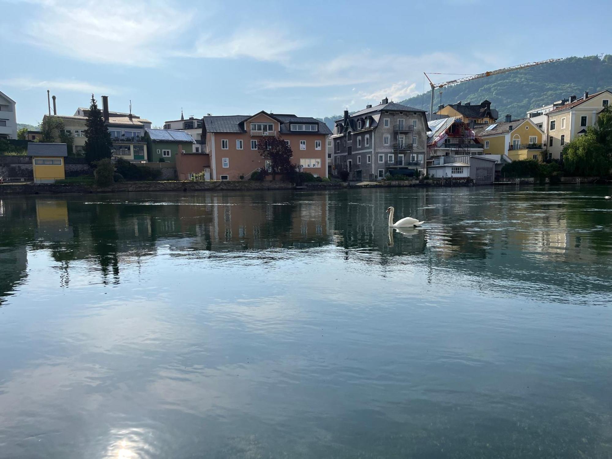 Altstadtjuwel In Gmunden Am Traunsee 外观 照片