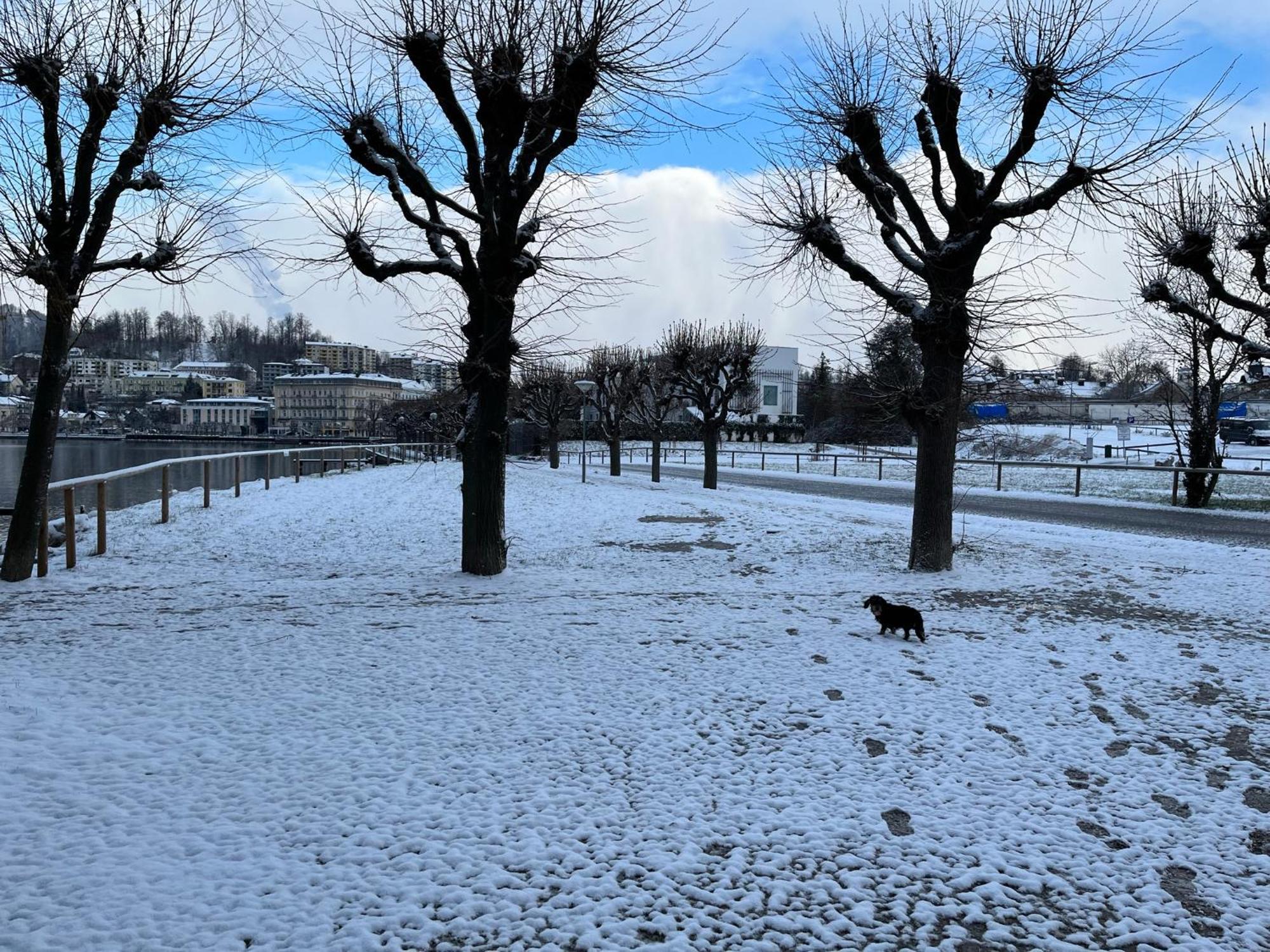 Altstadtjuwel In Gmunden Am Traunsee 外观 照片